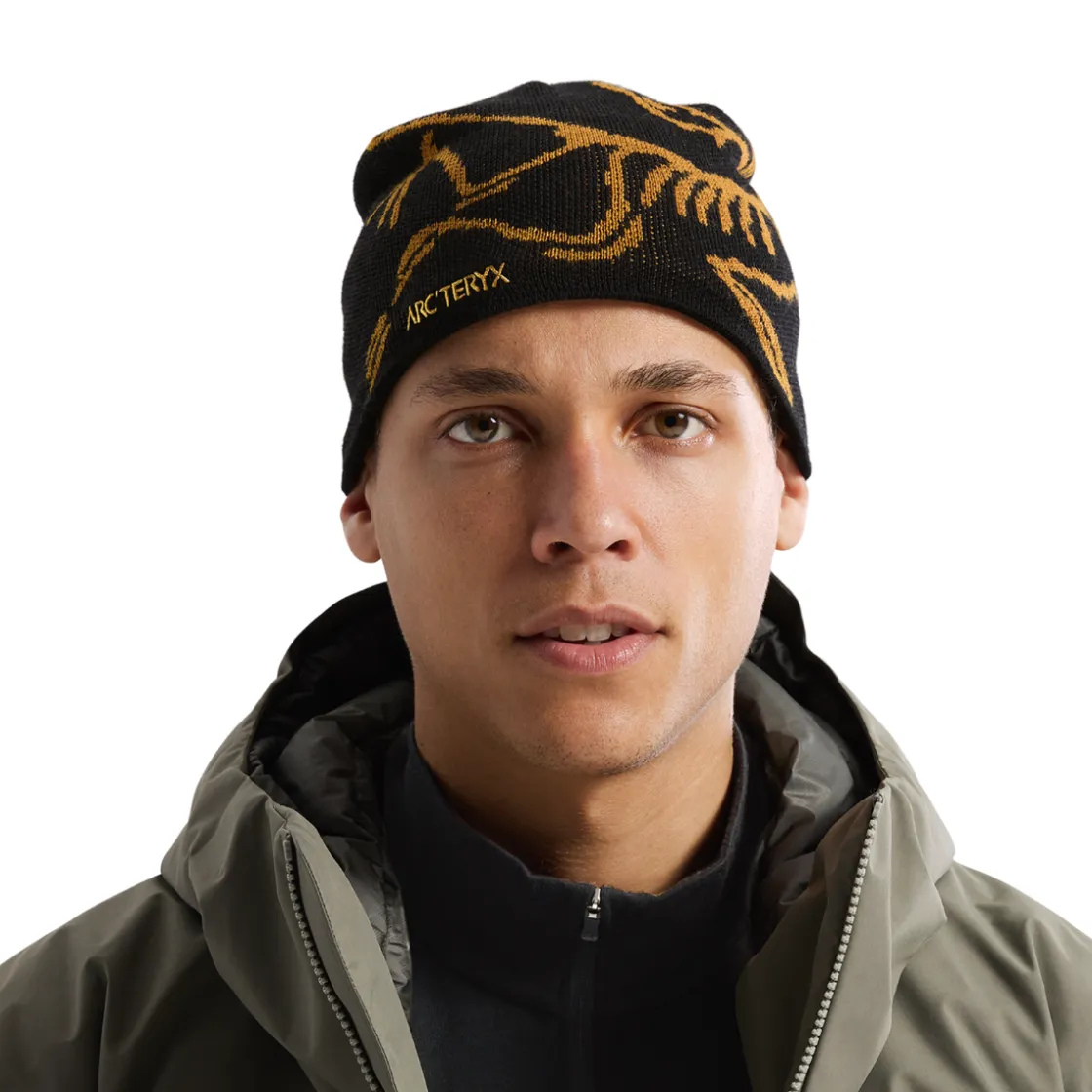 ARCTERYX Arc'teryx Bird Head Toque hue (24k Black) Best