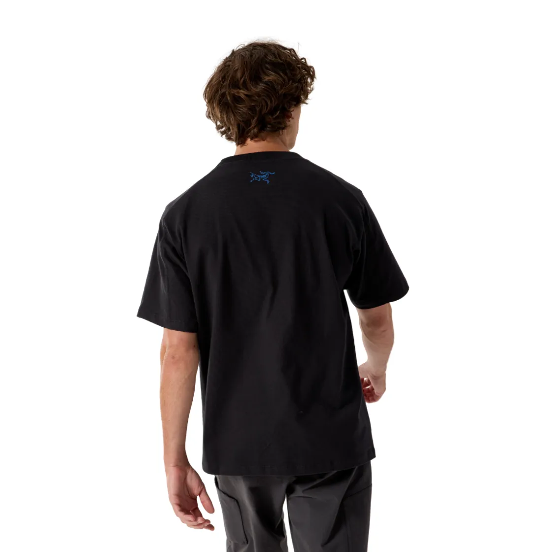 ARCTERYX Arc'teryx Kragg Cotton Tee, herre (Black) Discount
