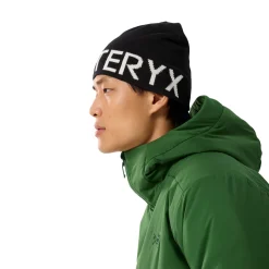 ARCTERYX Arc'teryx Word Head Toque, hue (Orca)