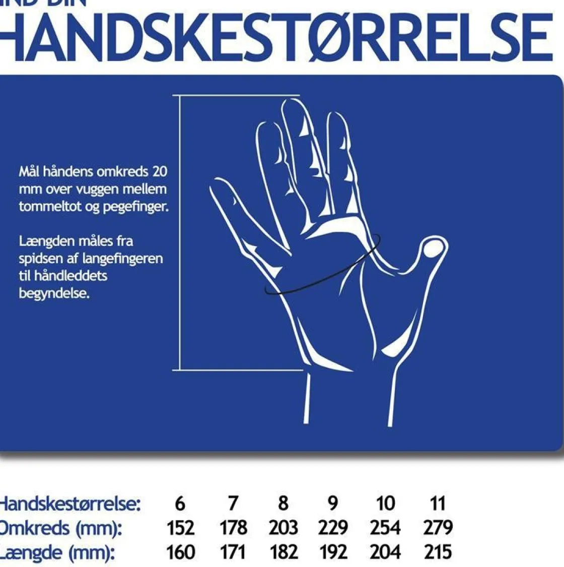 HESTRA LeatherBox Mitt Online