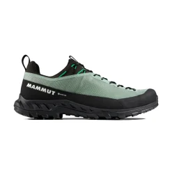MAMMUT Alnasca IV Low GTX approachsko, herre (Deep Silver Sage / Pinea) Hot