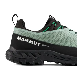 MAMMUT Alnasca IV Low GTX approachsko, herre (Deep Silver Sage / Pinea) Hot