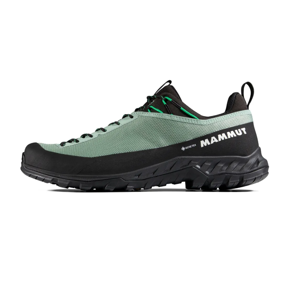 MAMMUT Alnasca IV Low GTX approachsko, herre (Deep Silver Sage / Pinea) Hot