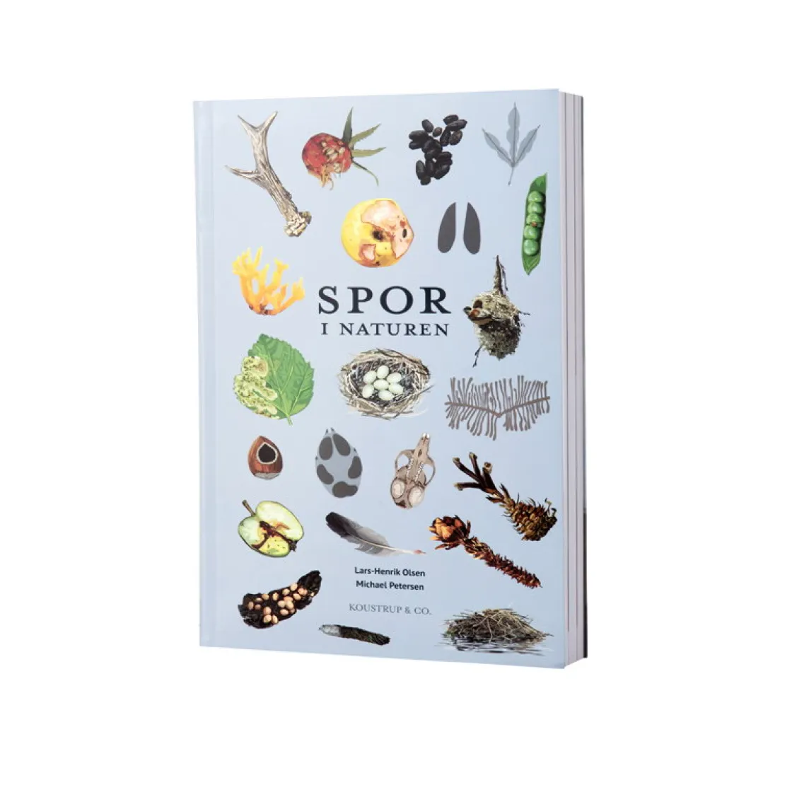 DIVERSE Spor I Naturen Hot